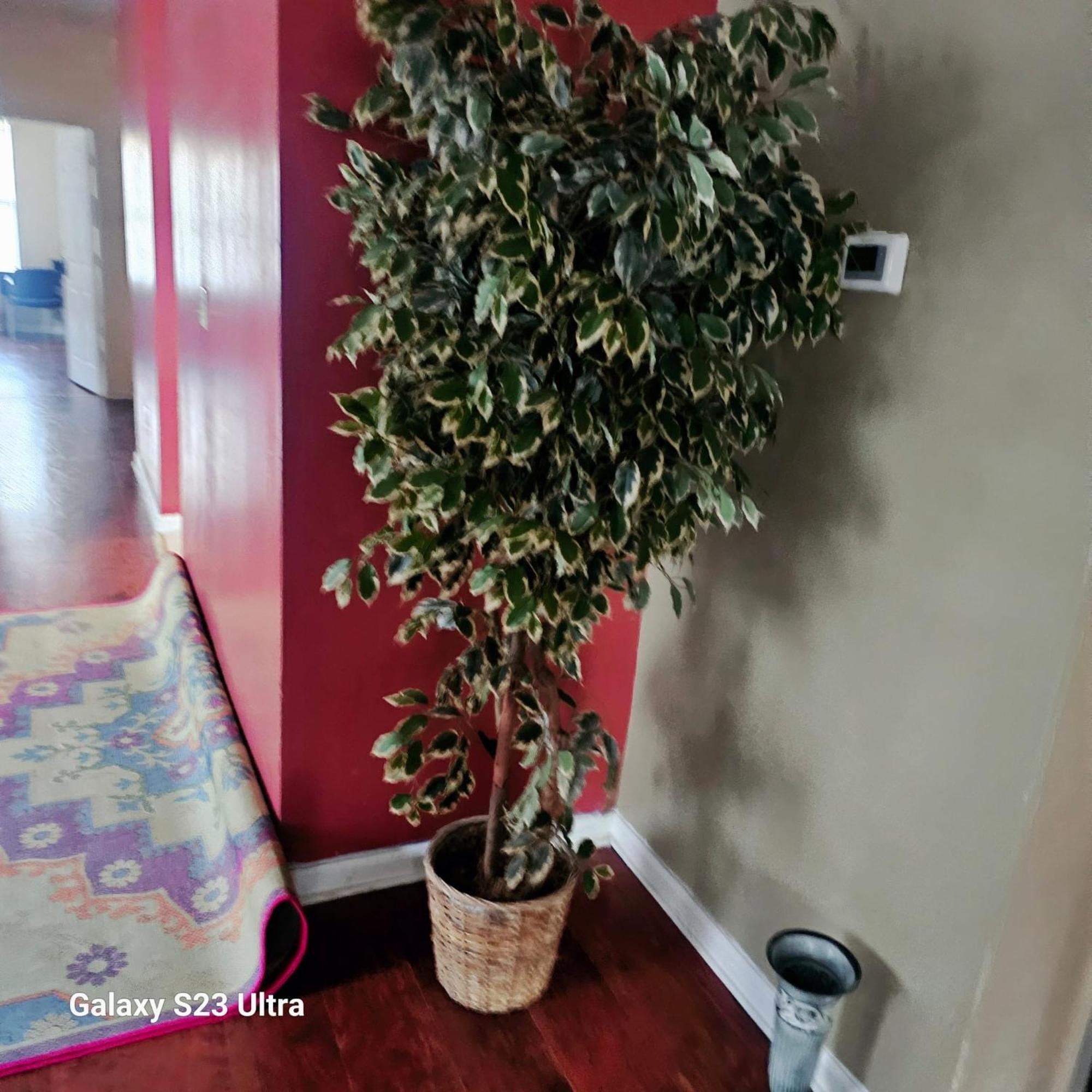 Divine Villa & Resorts Guest House - 283 Lehigh Ave Newark Bagian luar foto